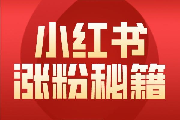 快速“涨粉”不可靠 月入巨款是骗局 临沂兰山破获了一起电信网络诈骗案